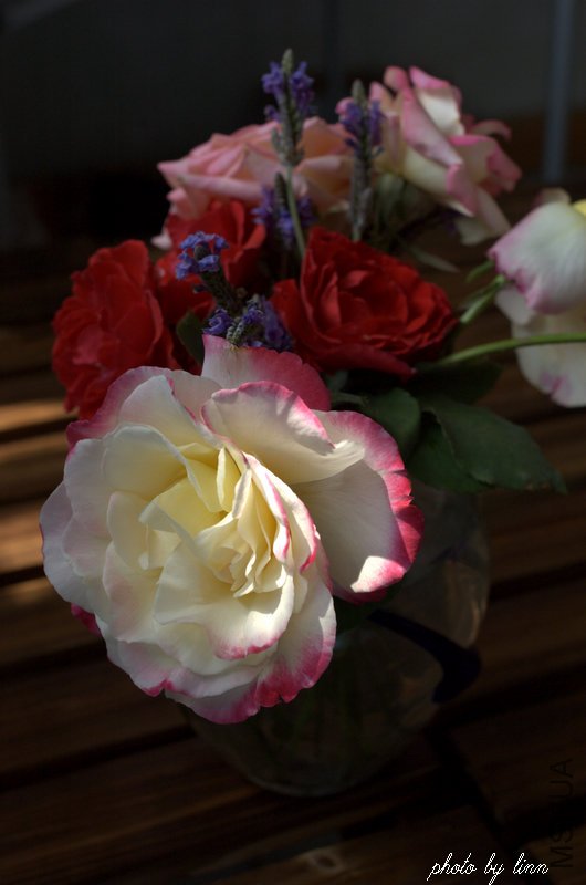 DSC_1949.jpg