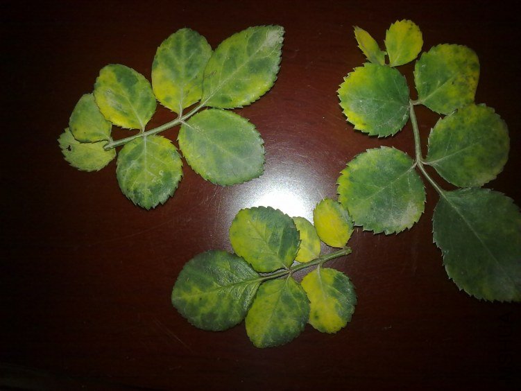 20120325473.jpg