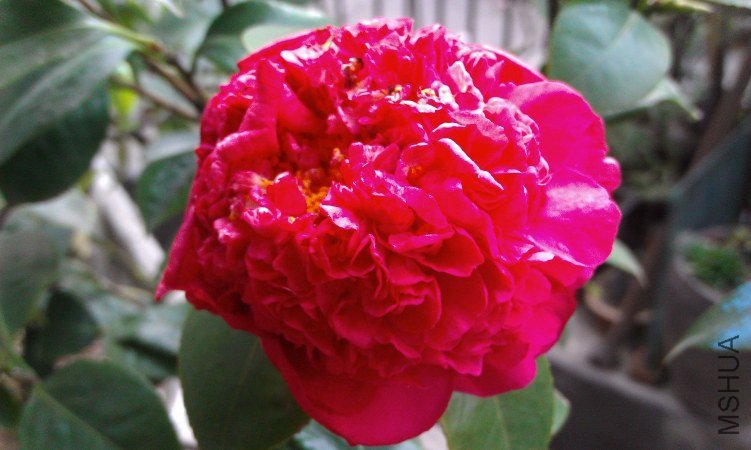 IMAG0069.jpg