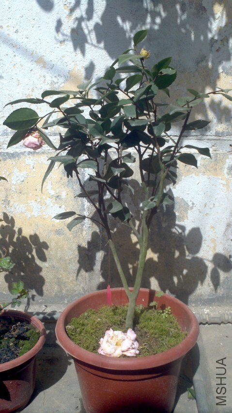 ���ͻ�����