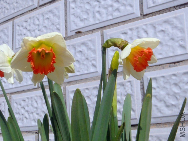 DSC05914.JPG