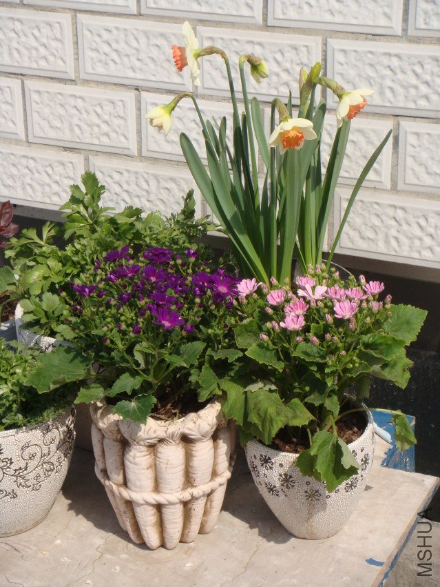 DSC05920.JPG