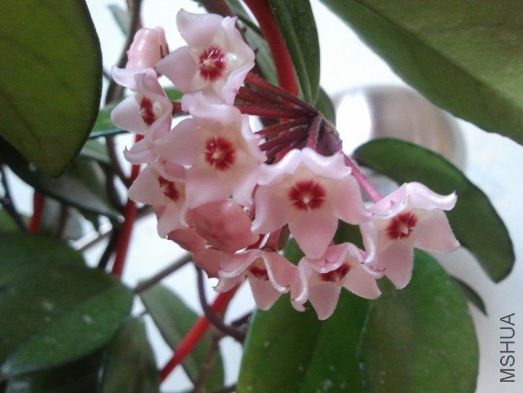 2012-03-25 18.03.30.jpg