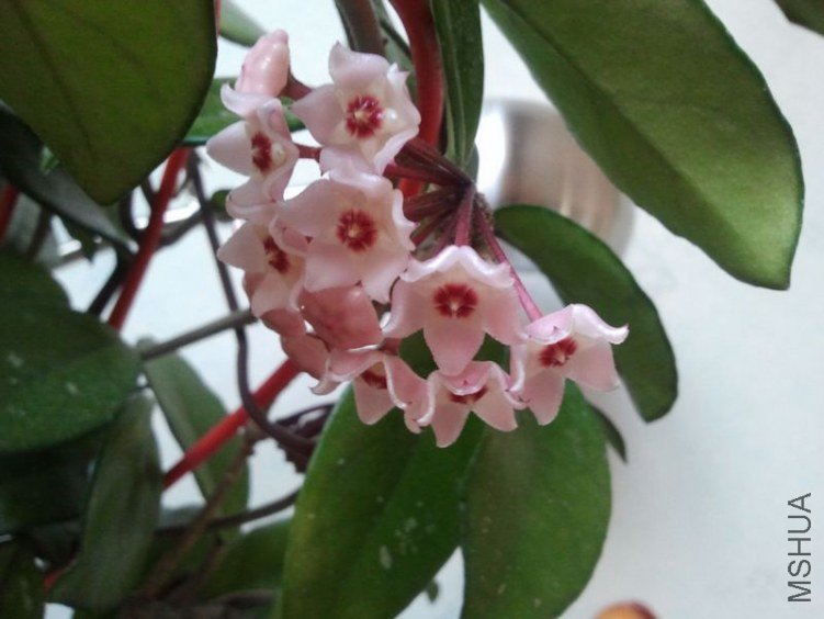 2012-03-25 18.01.54.jpg