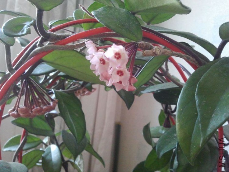 2012-03-25 18.01.19.jpg