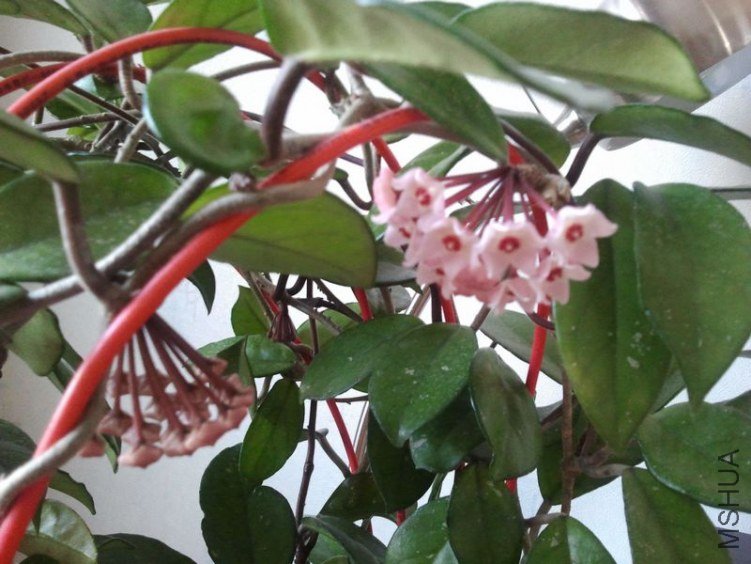 2012-03-25 18.00.40.jpg