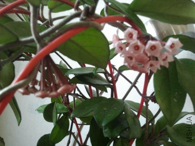 2012-03-25 17.32.09.jpg