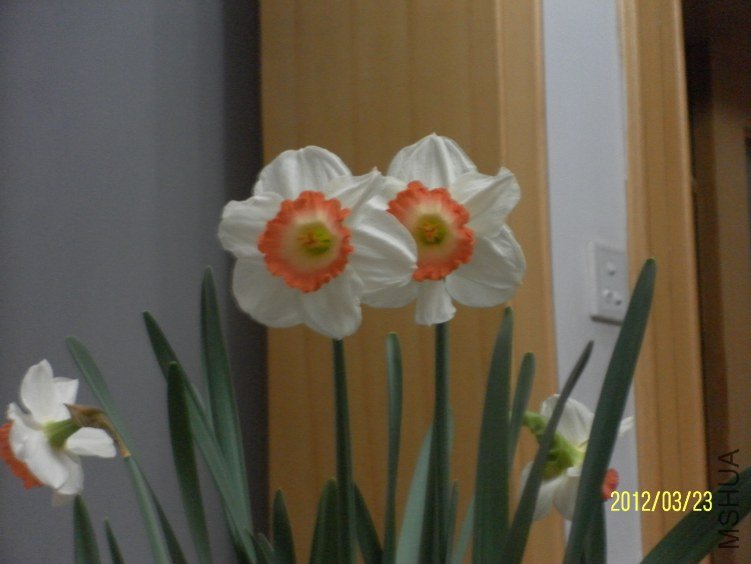 SAM_1091.JPG