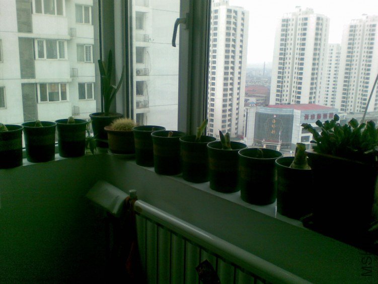20120319(006).jpg