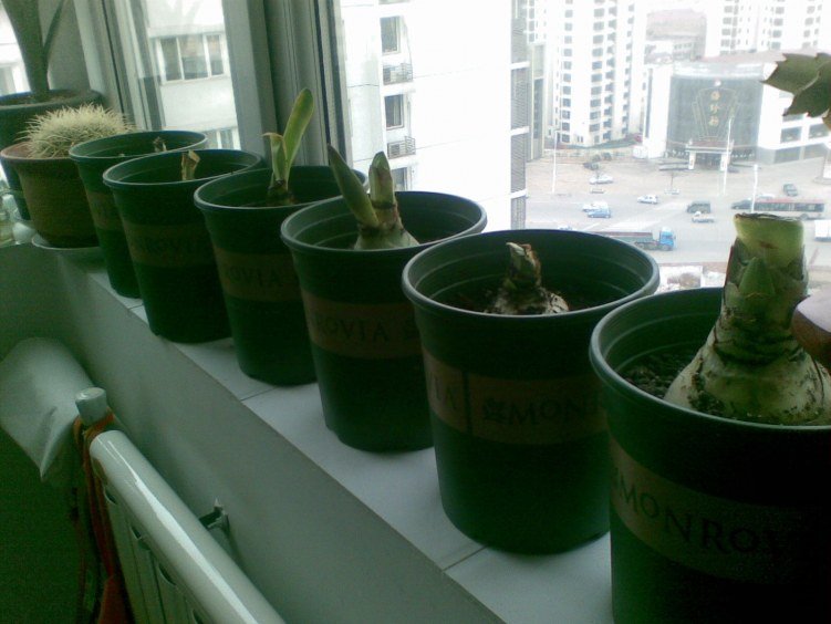 20120319(007).jpg
