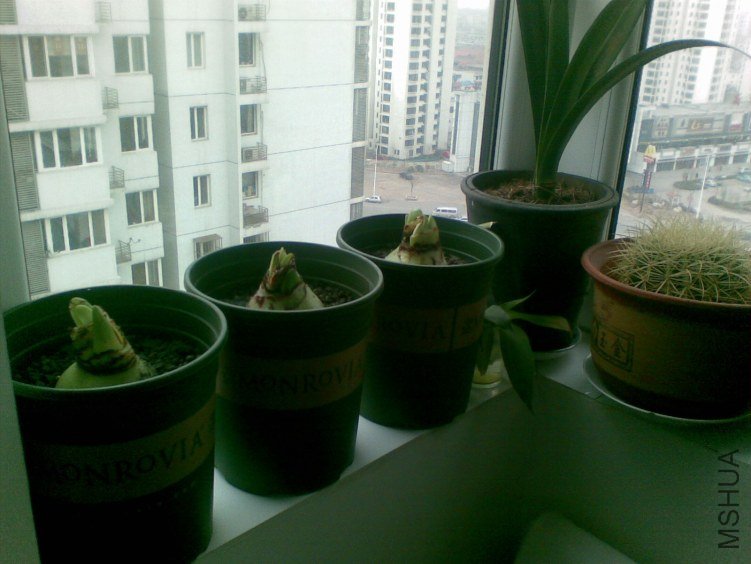 20120319(008).jpg