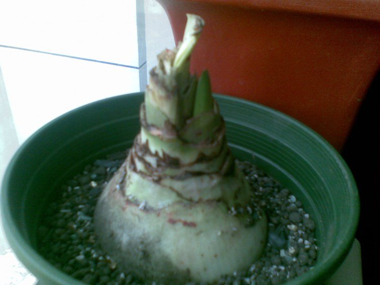 20120319(009).jpg