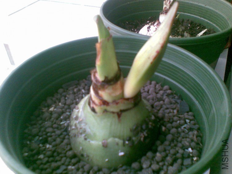 20120319(012).jpg