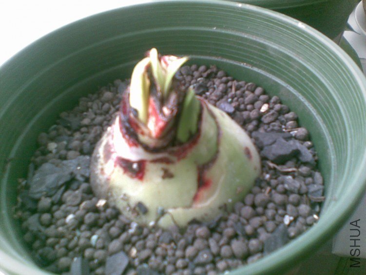 20120319(015).jpg