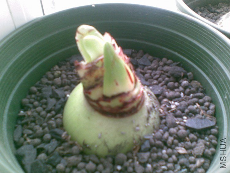 20120319(016).jpg