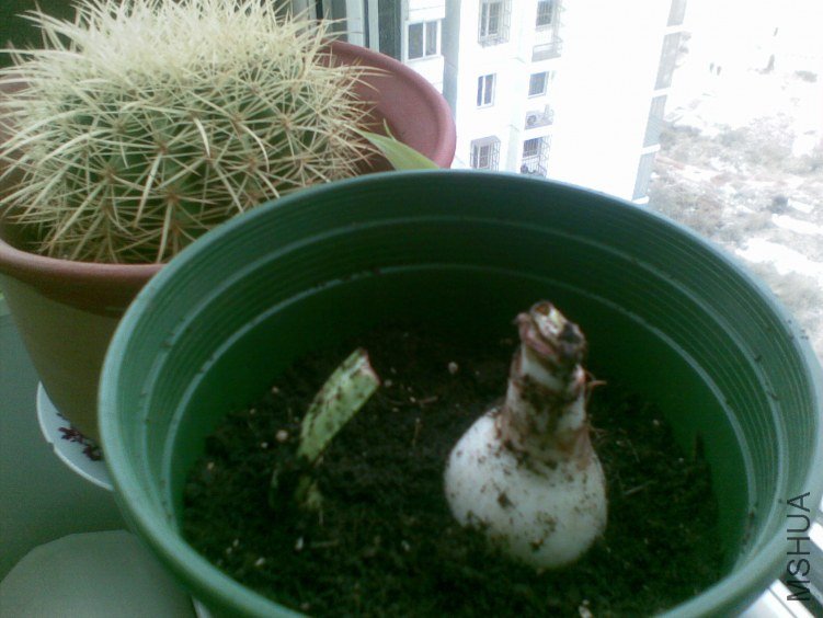 20120319(017).jpg