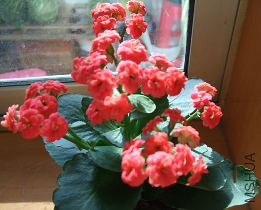 ��ͼ071.jpg