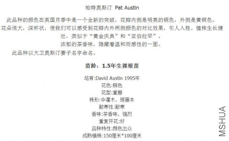 ���ذ�˹��Pat Austin����.jpg