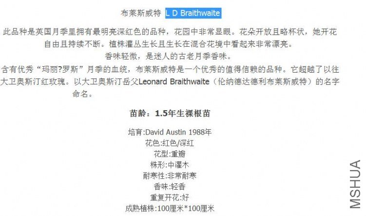 ����˹����LD Braithwaite����.jpg