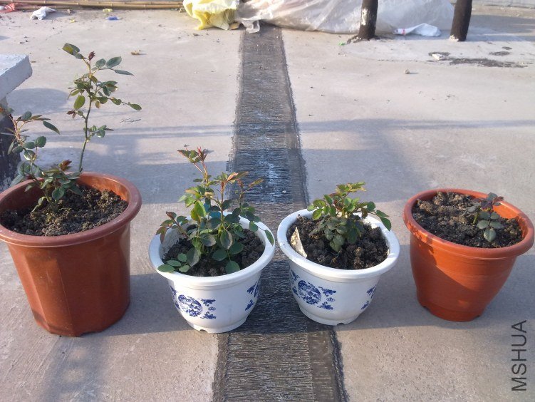 20120325977.jpg