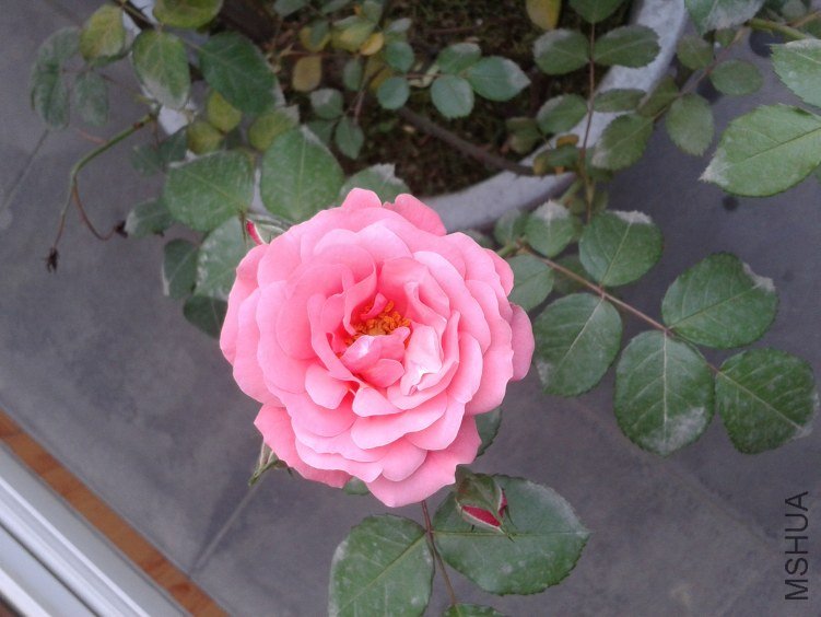 2011-04-26 07.24.06.jpg