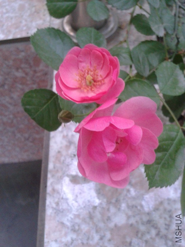 2011-04-29 06.55.56.jpg