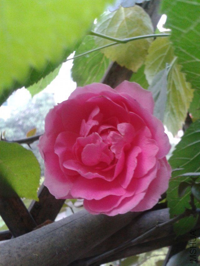 2011-04-29 06.54.13.jpg