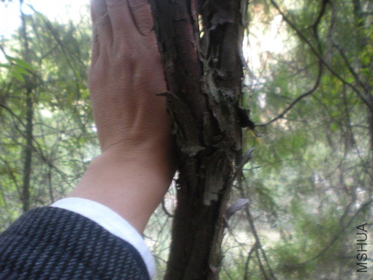 DSCN2254.JPG