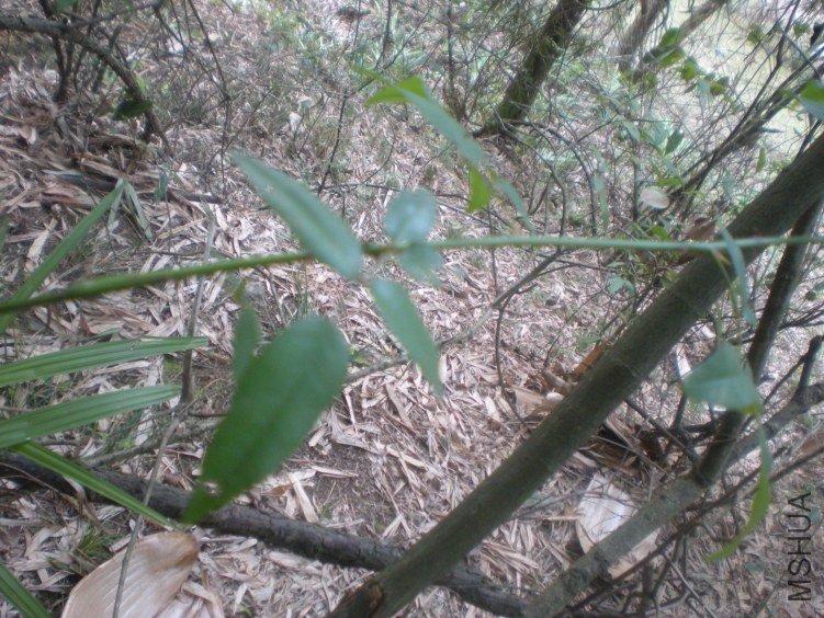 DSCN2253.JPG