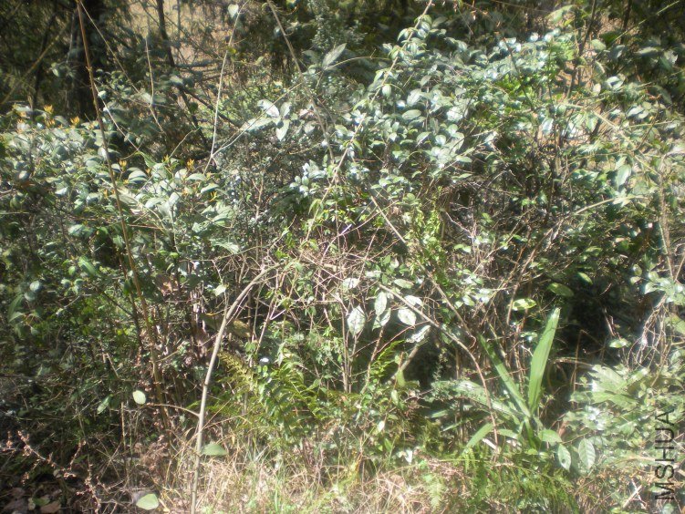 DSCN2244.JPG