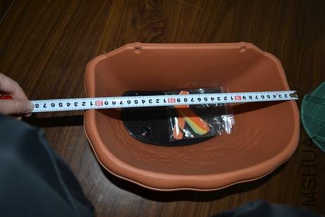 p31.JPG