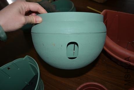 p53.JPG