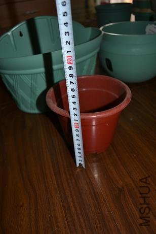 p62.JPG