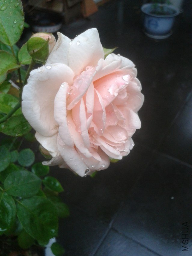2011-05-21 10.26.30.jpg