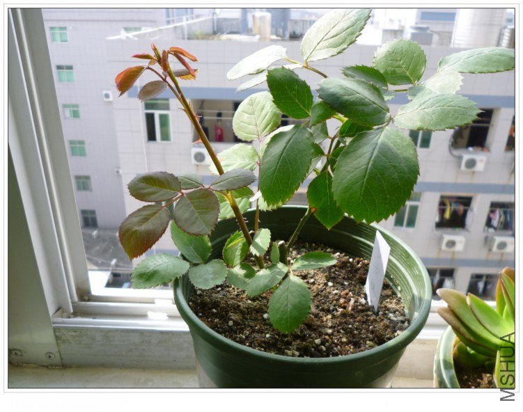 2012326 �׹���.jpg