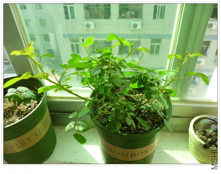 2012326 �̱�.jpg