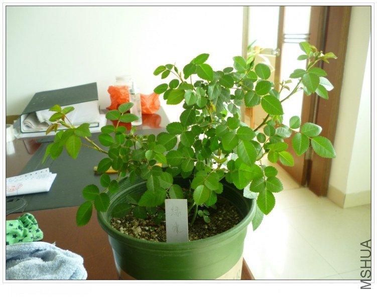 2012326 �̱� (1).jpg