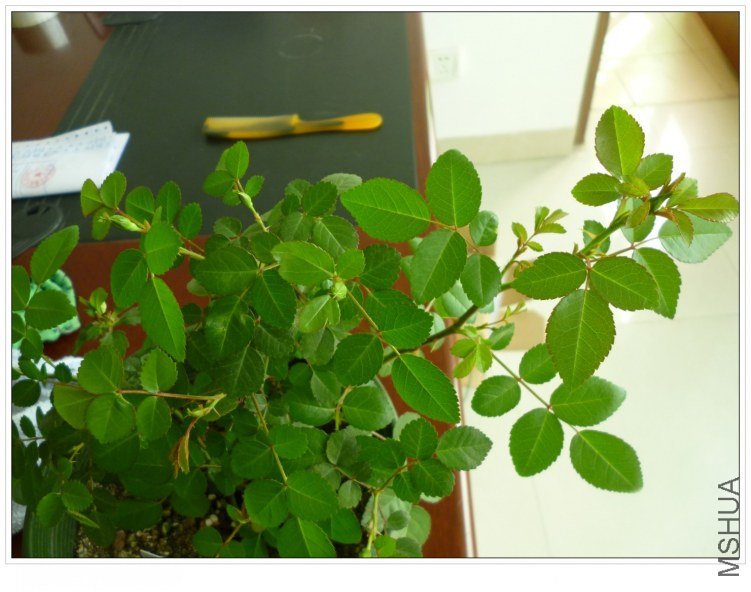 2012326 �̱� (2).jpg