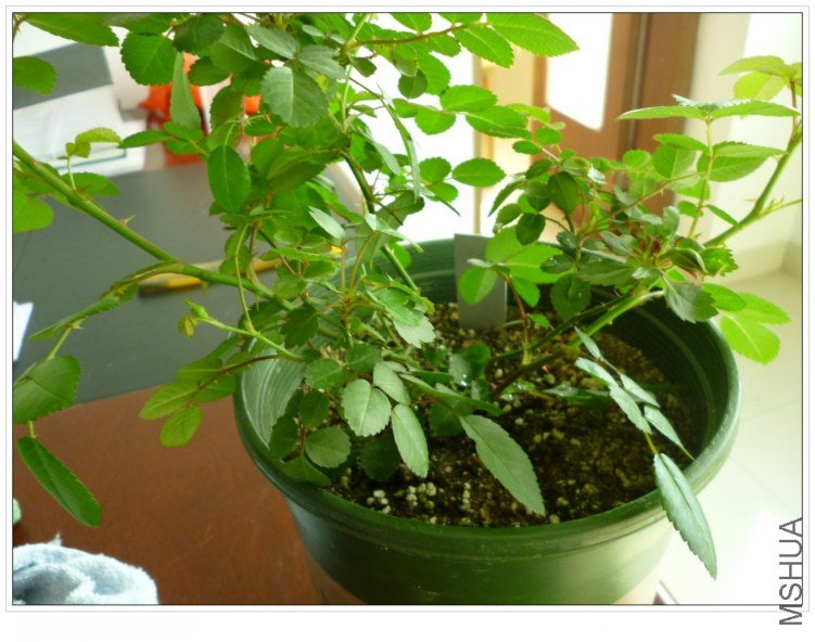 2012326 �̱� (3).jpg