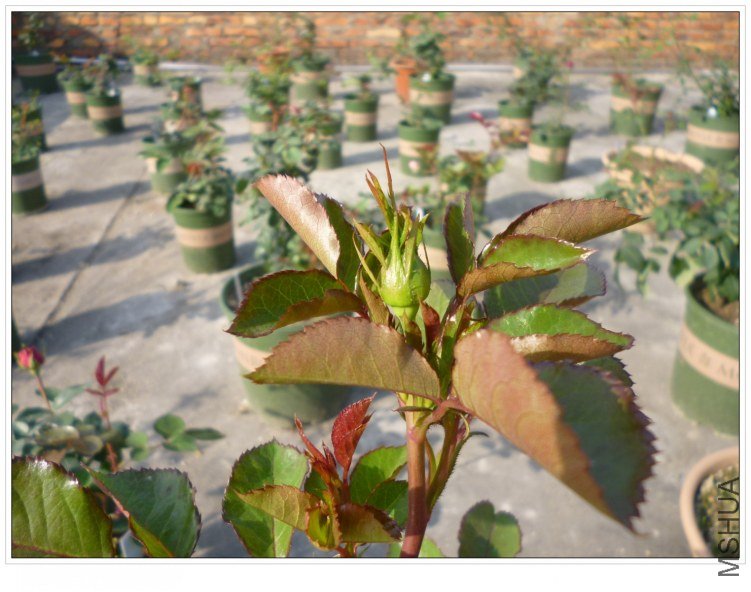 �������� (3).jpg