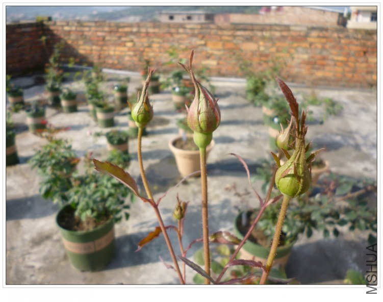 ���� (1).jpg