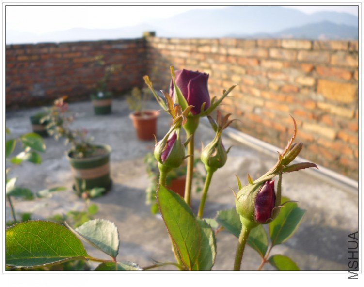 ����2 (1).jpg