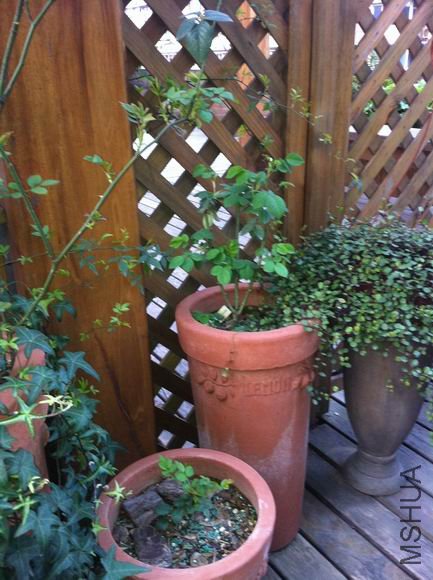 ������������� �����ǿ�����.jpg