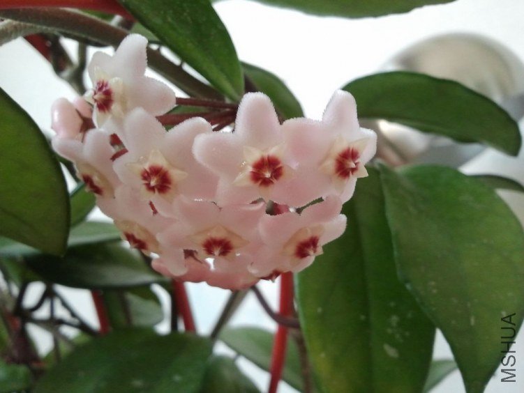 2012-03-26 13.47.45.jpg