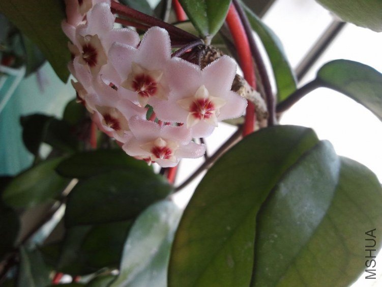 2012-03-26 13.50.59.jpg