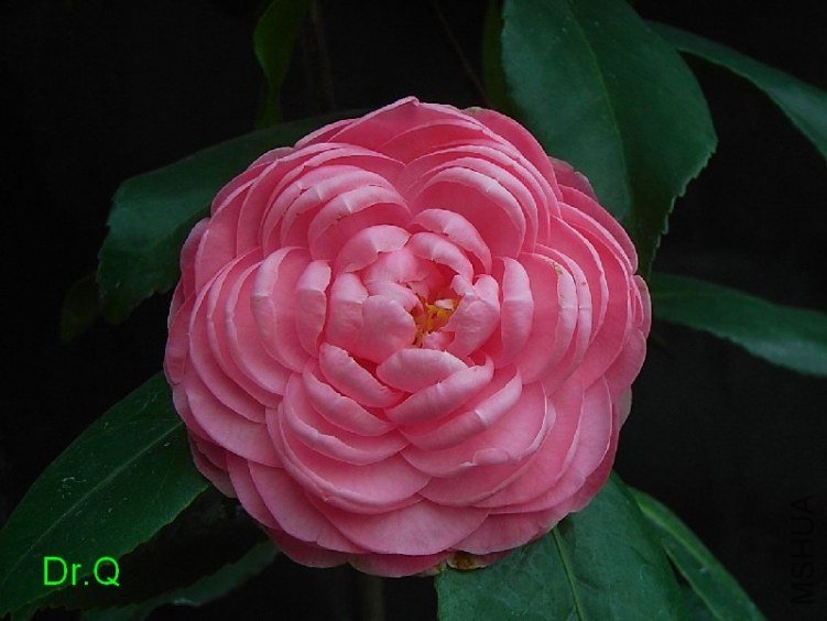 0326-6.JPG