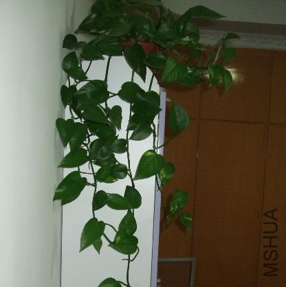 ��ͼ081.jpg