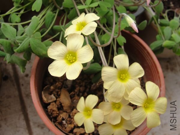 nEO_IMG_DSC02345.jpg