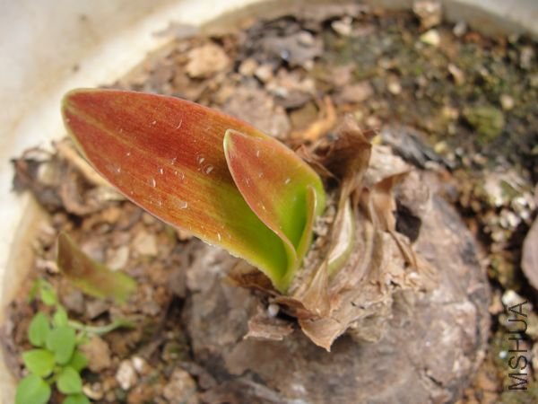 nEO_IMG_DSC02398.jpg