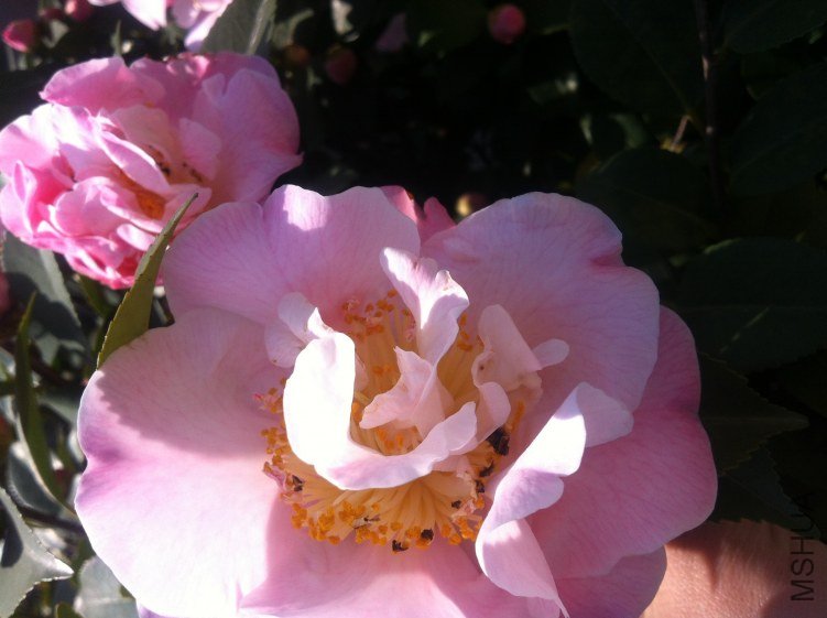 20120327 ��軨073.jpg